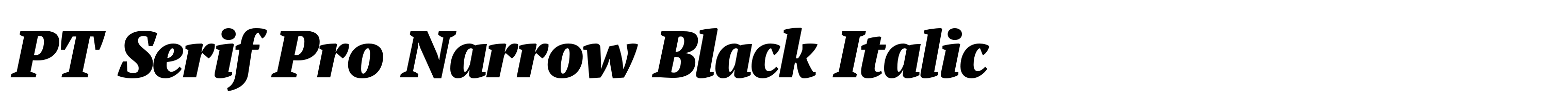 PT Serif Pro Narrow Black Italic